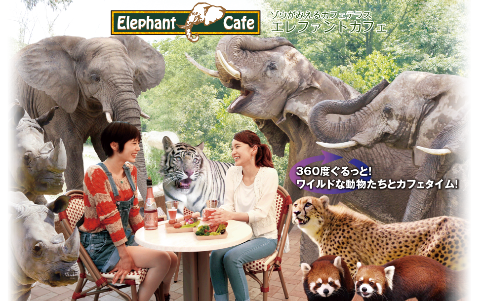 エレファントカフェOPEN！