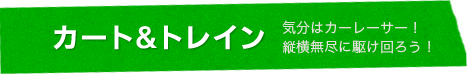 カート&トレイン 気分はカーレーサー！縦横無尽に駆け回ろう！