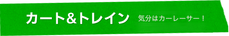 カート&トレイン 気分はカーレーサー！縦横無尽に駆け回ろう！