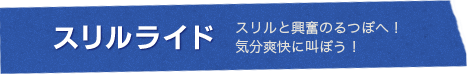 スリルライド スリルと興奮のるつぼへ！ 気分爽快に叫ぼう！