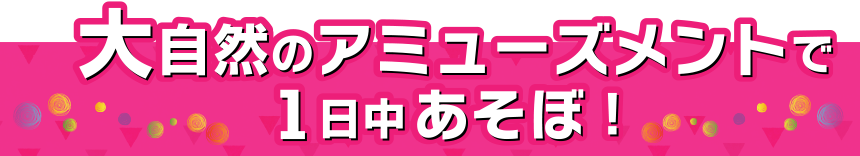 大自然のアミューズメントで1日中あそぼ！