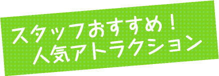 スタッフおすすめ！