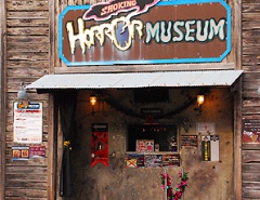 Shocking Horror Museum