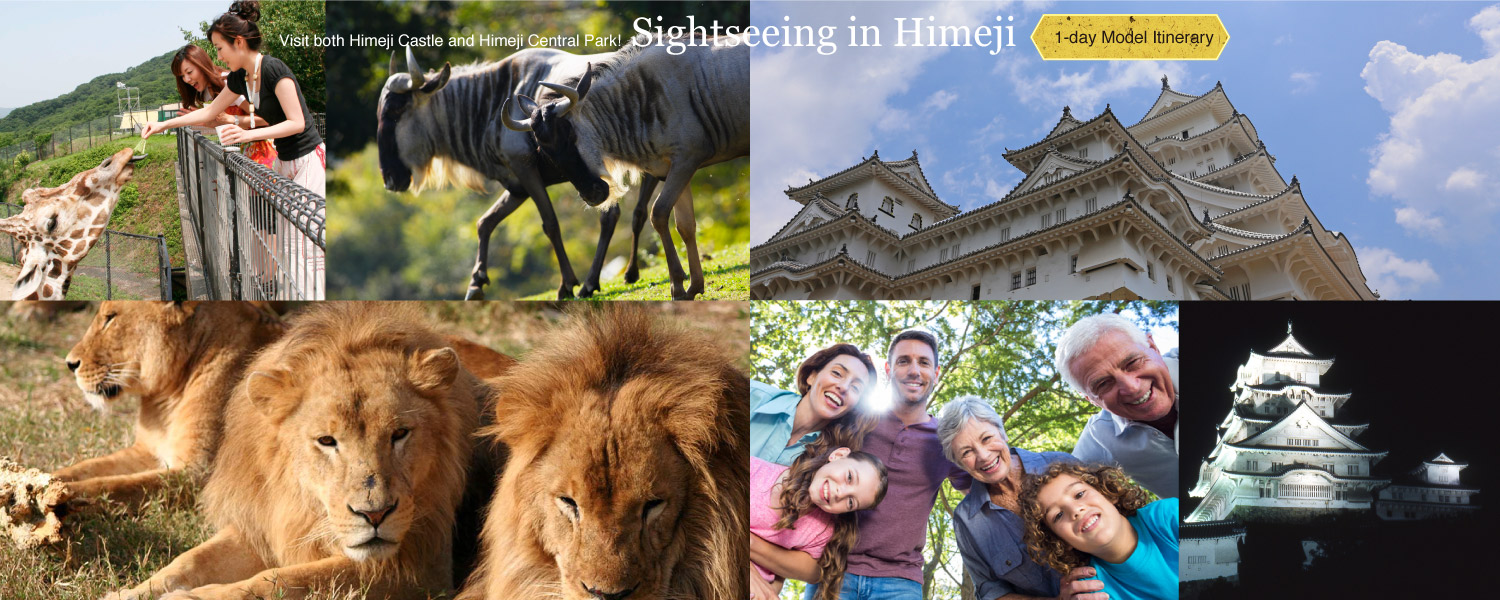 Visit both Himeji Castle and Himeji Central Park! Sightseeing in Himeji