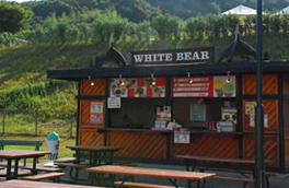 White Bear