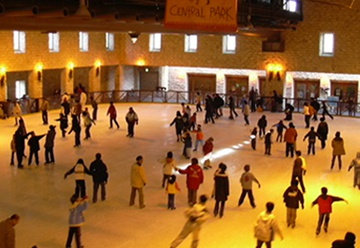 Ice Rink