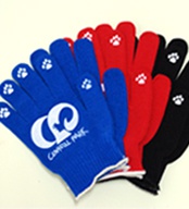 Himeji Central Park original stretchable gloves 