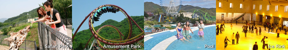Safari Park、Amusement Park、Pool、Ice Rink