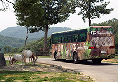 Safari Bus ticket
