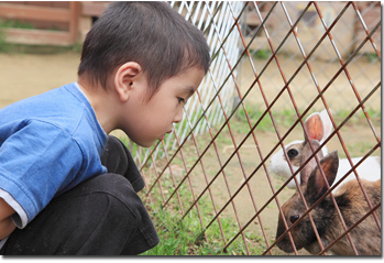 Child's Farm