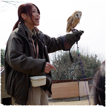 Raptor Show