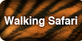 WalkingSafari