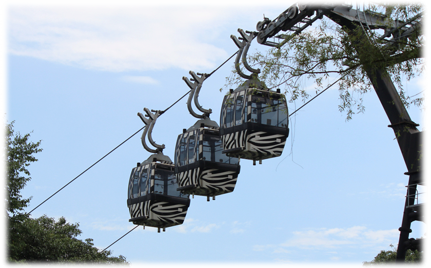 sky safari gondola