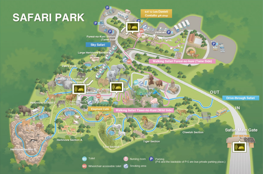 in the Safari Park