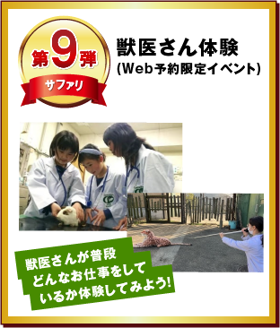 第9弾 獣医さん体験(Web予約限定イベント)