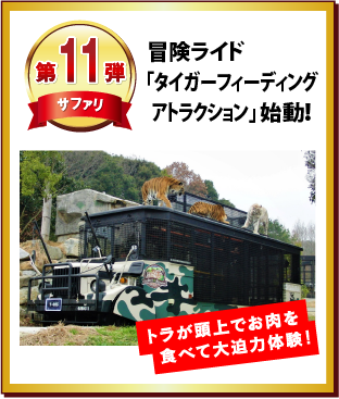 第11弾 冒険ライド　「タイガー フィーディングアトラクション」 始動！
