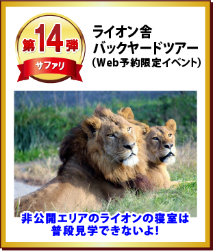 第14弾 ライオン舎バックヤードツアー（Web予約限定イベント）