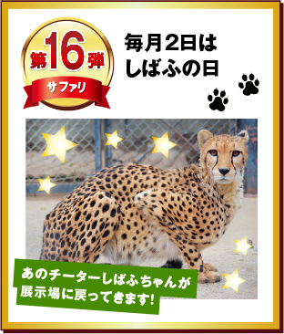 第16弾 毎月2日はしばふの日
