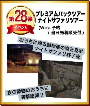 第28弾 プレミアムバックツアー ナイトサファリツアー