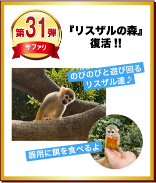 第31弾 「リスザルの森」復活！！