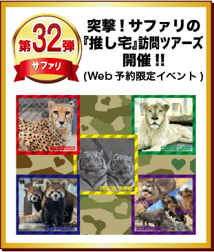 第32弾 突撃！サファリの「推し宅」訪問ツアーズ開催‼️(Web予約限定イベント)