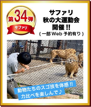 第34弾 サファリ秋の大運動会開催！！