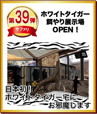 第39弾 ホワイトタイガー展示場　新設！