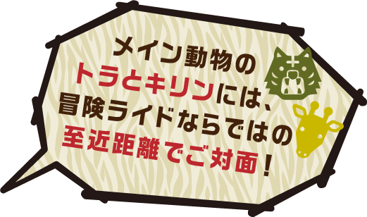 メイン動物のトラとキリンには冒険ライドならではの至近距離でご対面！