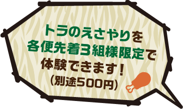 ライオンのえさやりを各便先着3組限定で体験できます！別途500円