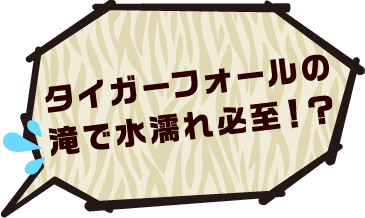 タイガーフォールの滝で水濡れ必至！？