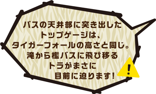 バスの天井部に突き出したトップゲージは、タイガーフォールの高さと同じ。