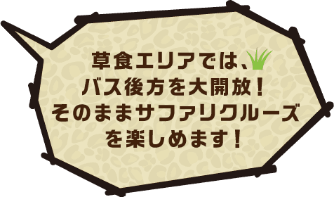 草食エリアでは、バス後方を大開放！そのままサファリクルーズを楽しめます！