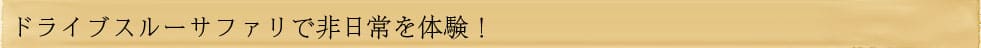 ドライブスルーサファリで非日常を体験
