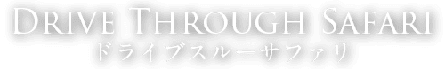 ドライブスルーサファリ