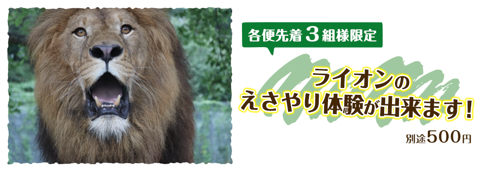 Wanpaku Safari