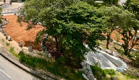 オスゾウエリア