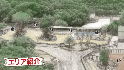 エリア紹介