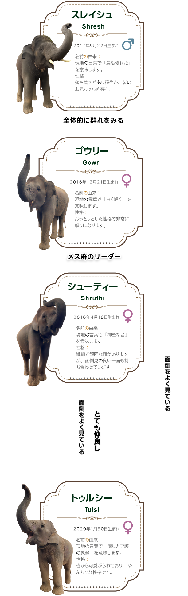 アジアゾウたちのご紹介