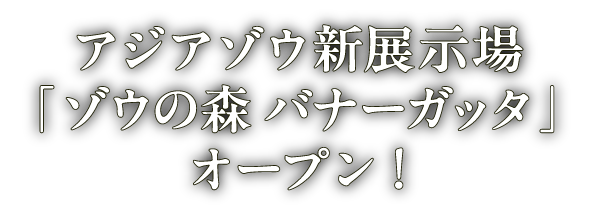 ゾウの森・バナーガッタオープン