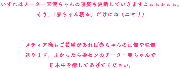 いずれはチーター天使ちゃんの寝姿も更新していきますよぉぉぉぉぉ。そう、「赤ちゃん寝る」だけにね（ニヤリ）