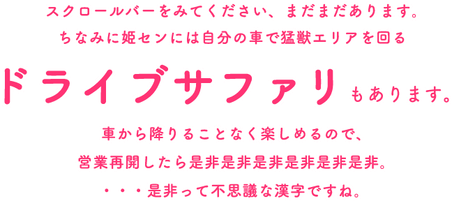 スクロールバーをみてください、まだまだあります。ちなみに姫センには自分の車で猛獣エリアを回るドライブサファリもあります。