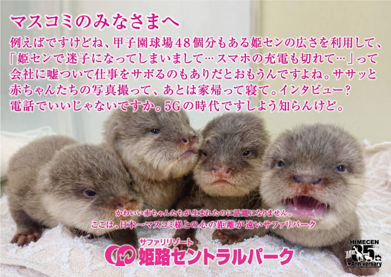 インタビュー？電話でいいいじゃないですか。