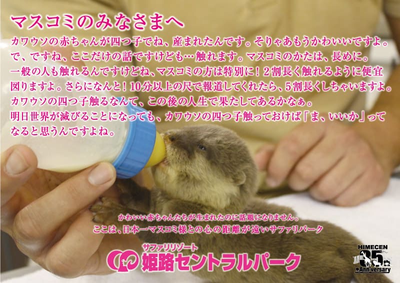 マスコミの方は長めに触れます