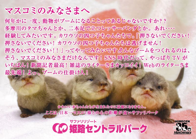 よっ、ブームの仕掛け人！