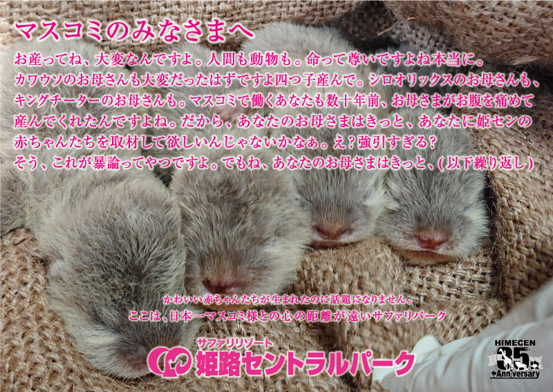 あなたのお母さまはきっと、、