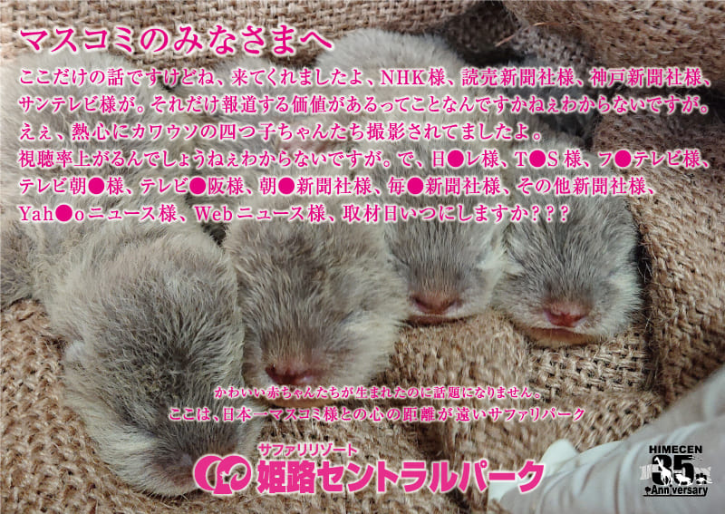 ここだけの話ですけどね