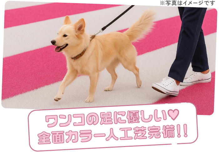 全面カラー人工芝完備