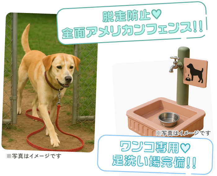 全面アメリカンフェンス、足洗い場完備