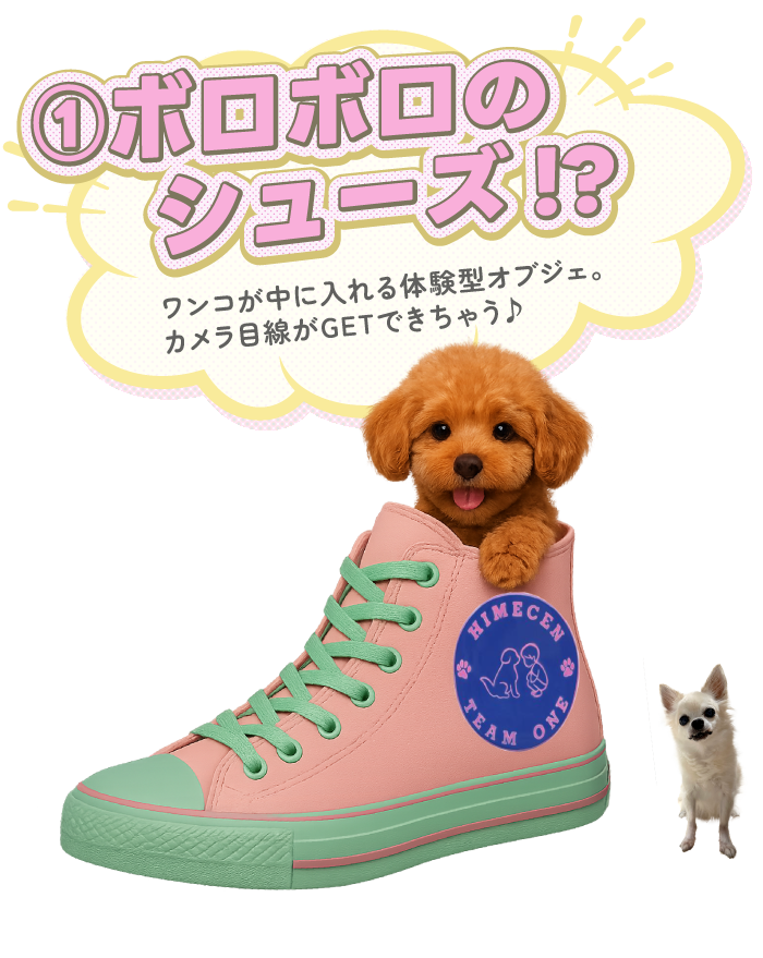 ①ボロボロのシューズ