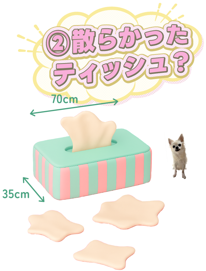 ②散らかったティッシュ